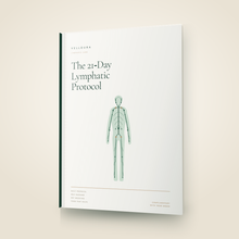 The 21-Day Lymphatic Protocol (Digital Guide)