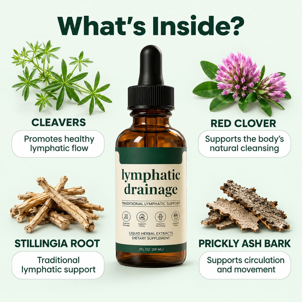 What is inside: Cleavers, Red Clover, Stillingia Root, Prickly Ash Bark